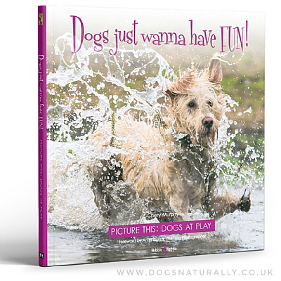 Dogs just wanna have fun! (Book)